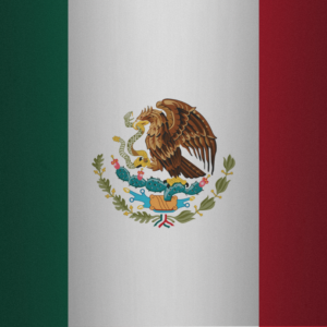 Mexico flag — Clip art · 4