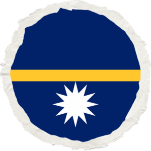 Nauru flag — Clip art · 31