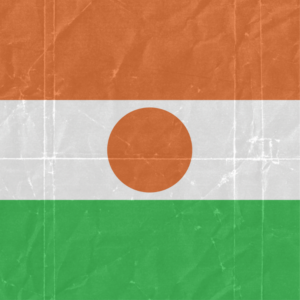 Niger flag — Clip art · 3