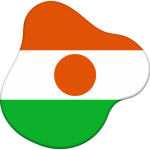 Niger flag — Clip art · 6