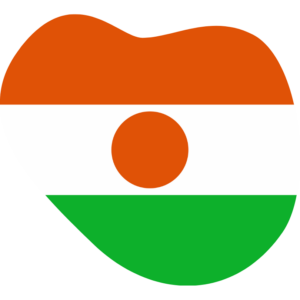 Niger flag — Clip art · 7