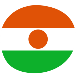 Niger flag — Clip art · 8