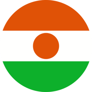 Niger flag — Clip art · 12