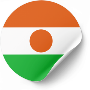 Niger flag — Clip art · 11