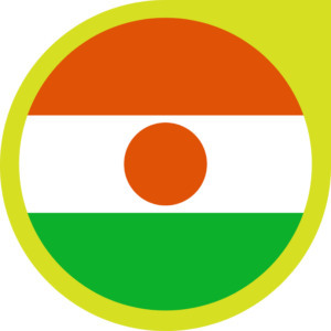 Niger flag — Clip art · 28