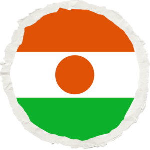 Niger flag — Clip art · 31
