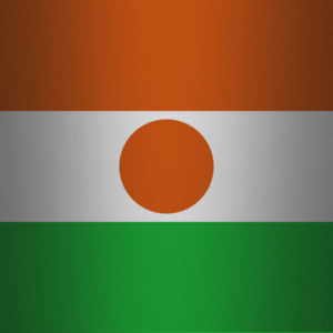 Niger flag — Clip art · 34