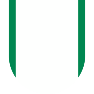 Nigeria flag — Clip art · 5