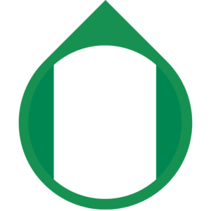 Nigeria flag — Clip art · 25