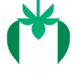 Nigeria flag — Clip art · 27