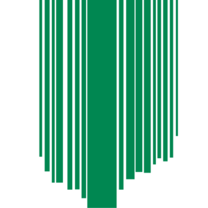 Nigeria flag — Clip art · 29