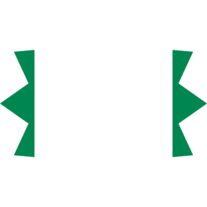 Nigeria flag — Clip art · 35