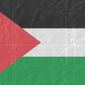 Palestinian Territories flag — Clip art · 5