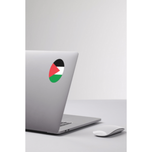 Palestinian Territories flag — Clip art · 22