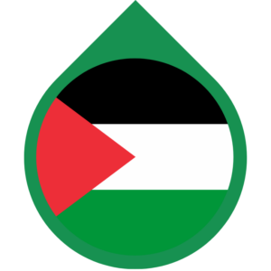 Palestinian Territories flag — Clip art · 27