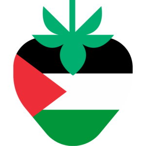Palestinian Territories flag — Clip art · 29