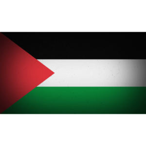 Palestinian Territories flag — Clip art · 32