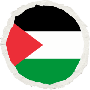 Palestinian Territories flag — Clip art · 33
