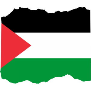 Palestinian Territories flag — Clip art · 34