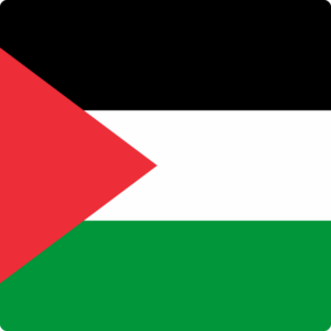 Palestinian Territories flag — Clip art · 35