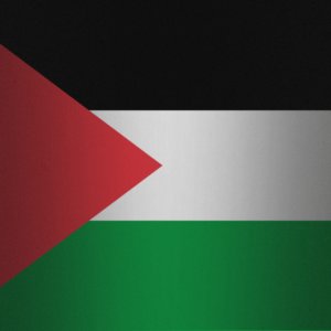 Palestinian Territories flag — Clip art · 36