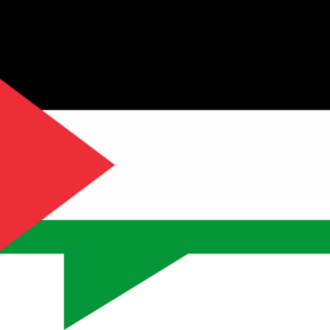 Palestinian Territories flag — Clip art · 38