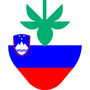 Slovenia flag — Clip art · 27