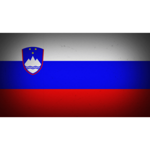 Slovenia flag — Clip art · 30