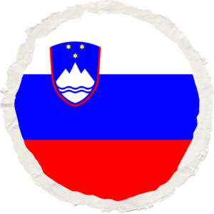 Slovenia flag — Clip art · 31