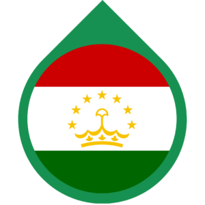 Tajikistan flag — Clip art · 25