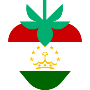 Tajikistan flag — Clip art · 27