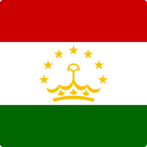 Tajikistan flag — Clip art · 33