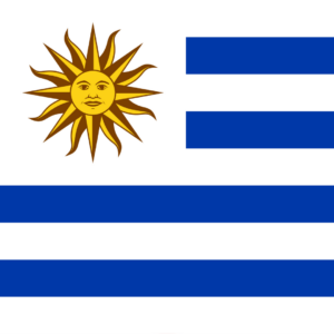 Uruguay flag — Clip art · 12