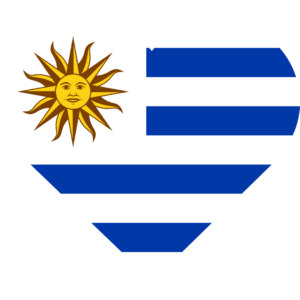 Uruguay flag — Clip art · 19