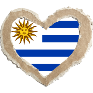 Uruguay flag — Clip art · 22
