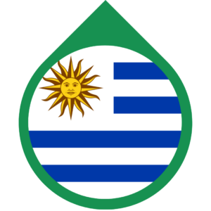 Uruguay flag — Clip art · 25