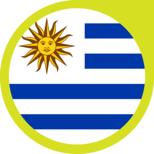 Uruguay flag — Clip art · 28