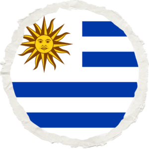 Uruguay flag — Clip art · 31