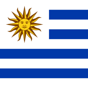 Uruguay flag — Clip art · 33